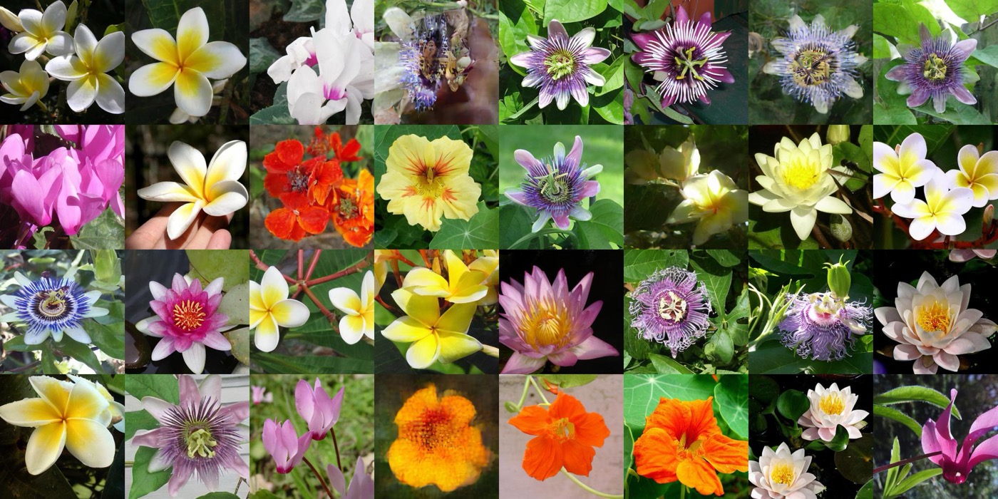 Oxford Flowers samples with per-stage supervision and Geman-McClure loss